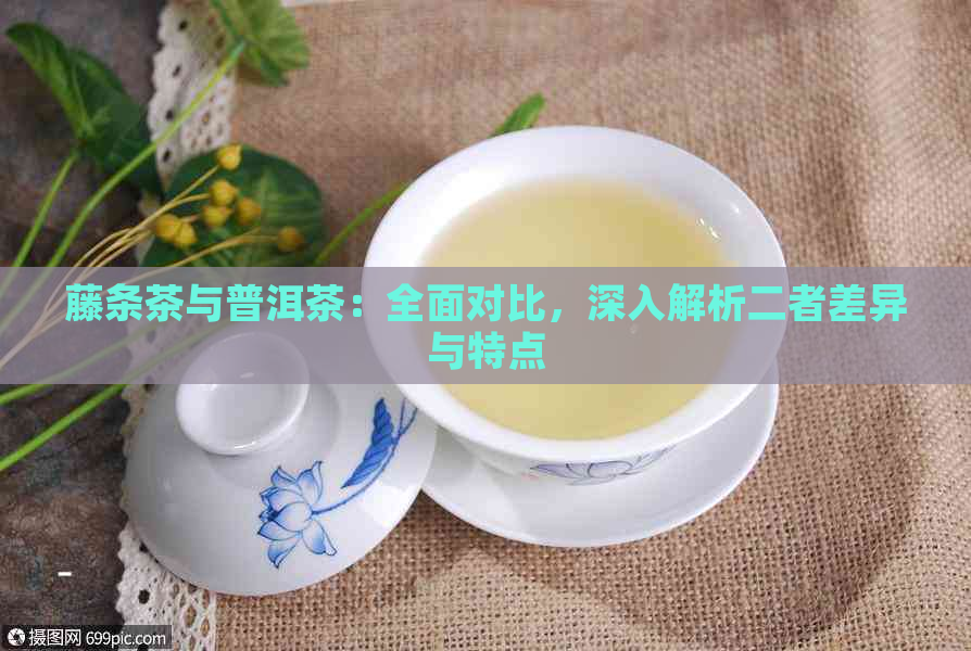 藤条茶与普洱茶：全面对比，深入解析二者差异与特点