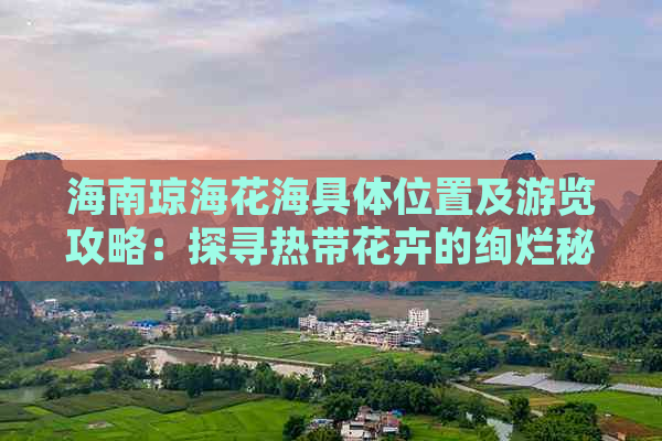 海南琼海花海具     置及游览攻略：探寻热带花卉的绚烂秘境