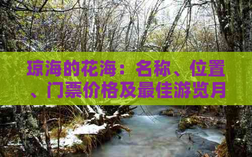 琼海的花海：名称、位置、门票价格及更佳游览月份解析