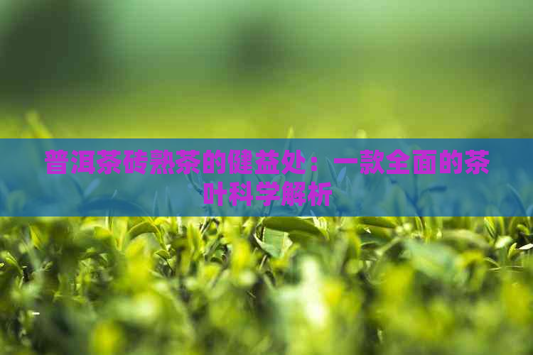 普洱茶砖熟茶的健益处：一款全面的茶叶科学解析