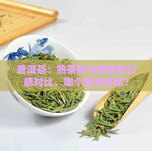 普洱茶：熟茶砖与饼茶的口感对比，哪个更适合你？