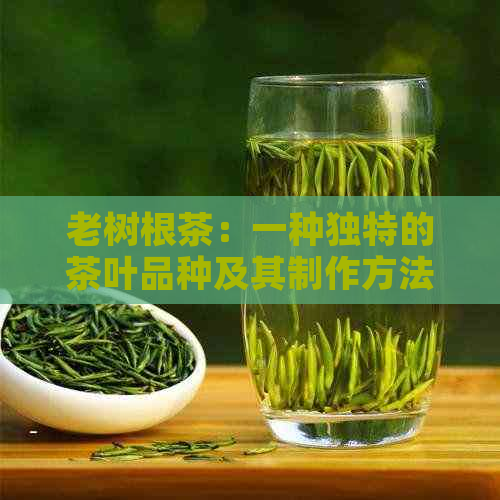 老树根茶：一种独特的茶叶品种及其制作方法和功效详解