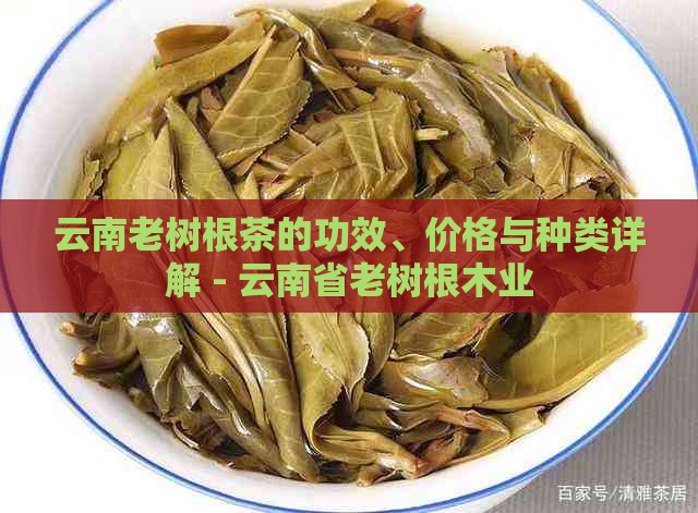 云南老树根茶的功效、价格与种类详解 - 云南省老树根木业