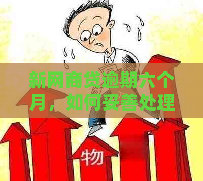 新网商贷逾期六个月，如何妥善处理并还清贷款？