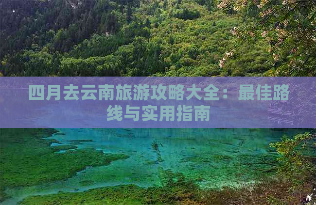 四月去云南旅游攻略大全：更佳路线与实用指南