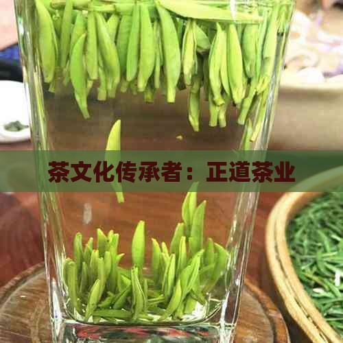 茶文化传承者：正道茶业