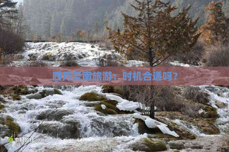 四月云南旅游：时机合适吗？