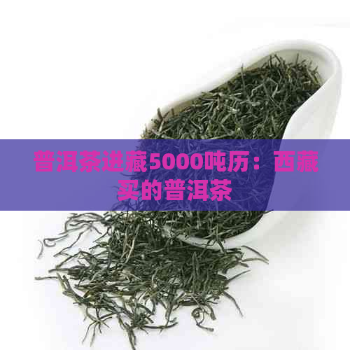 普洱茶进藏5000吨历：     买的普洱茶