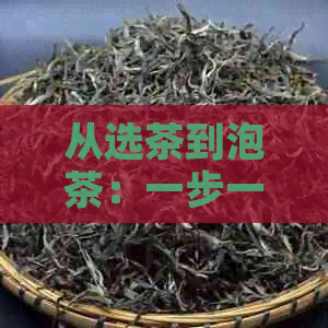 从选茶到泡茶：一步一步教你如何冲泡普洱茶花生茶