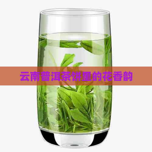 云南普洱茶饼里的花香韵