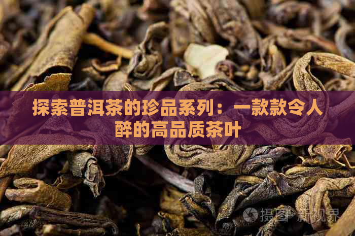 探索普洱茶的珍品系列：一款款令人醉的高品质茶叶