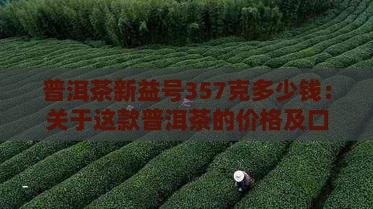 普洱茶新益号357克多少钱：关于这款普洱茶的价格及口感评价