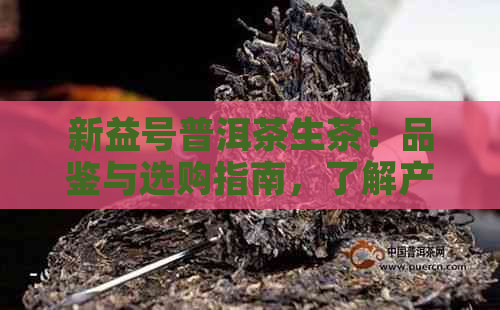 新益号普洱茶生茶：品鉴与选购指南，了解产地、工艺与口感的全方位解析