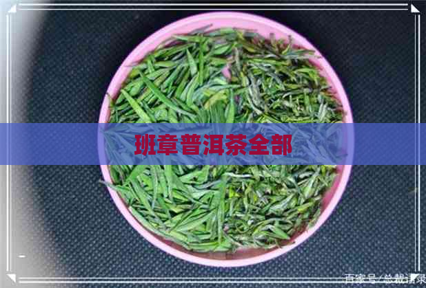 班章普洱茶全部