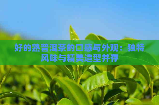 好的熟普洱茶的口感与外观：独特风味与精美造型并存