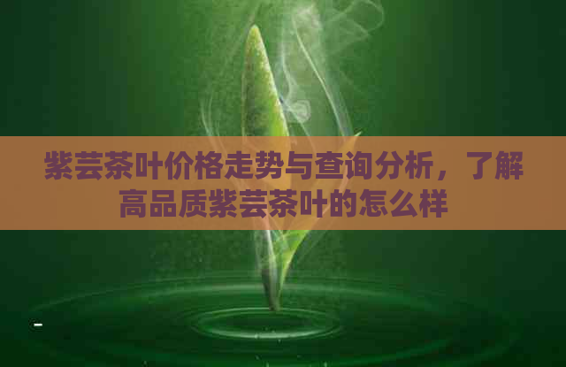 紫芸茶叶价格走势与查询分析，了解高品质紫芸茶叶的怎么样