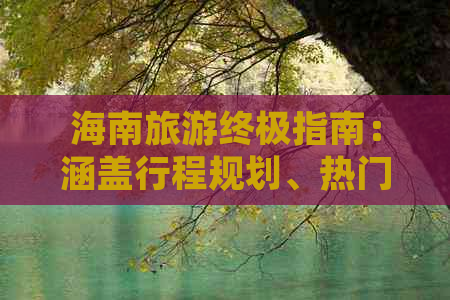 海南旅游终极指南：涵盖行程规划、热门景点、美食住宿一站式攻略