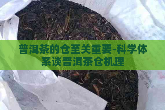 普洱茶的仓至关重要-科学体系谈普洱茶仓机理