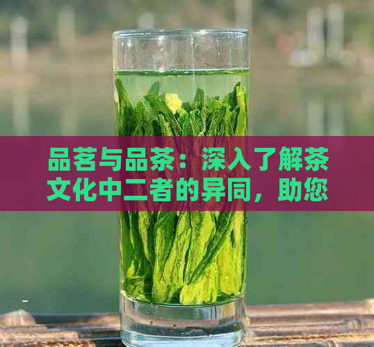 品茗与品茶：深入了解茶文化中二者的异同，助您更好地品味生活