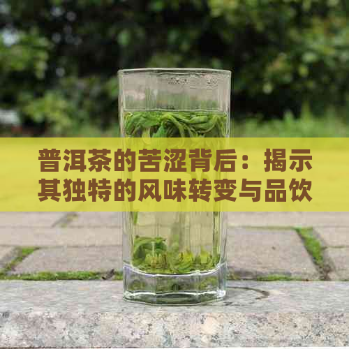 普洱茶的苦涩背后：揭示其独特的风味转变与品饮艺术