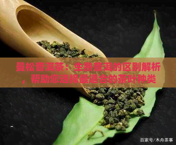 曼松普洱茶：生熟普洱的区别解析，帮助您选择最适合的茶叶种类