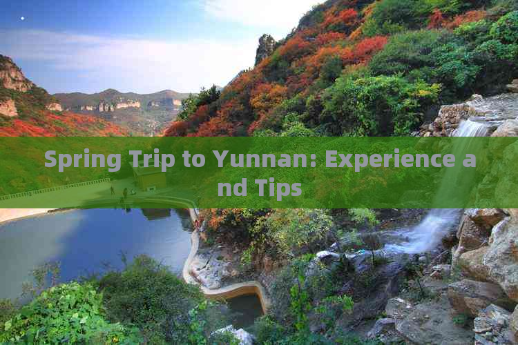 Spring Trip to Yunnan: Experience and Tips