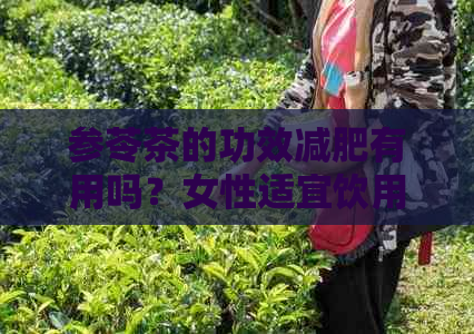 参苓茶的功效减肥有用吗？女性适宜饮用吗？百度百科详解。