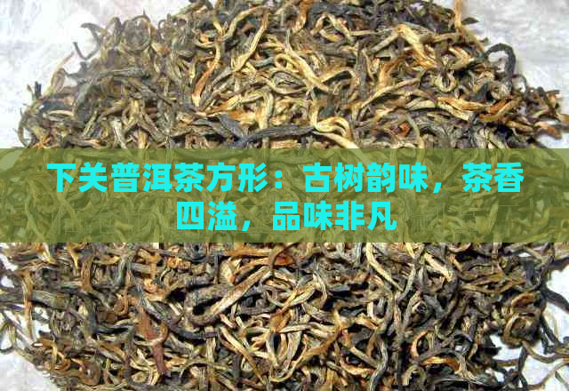 下关普洱茶方形：古树韵味，茶香四溢，品味非凡