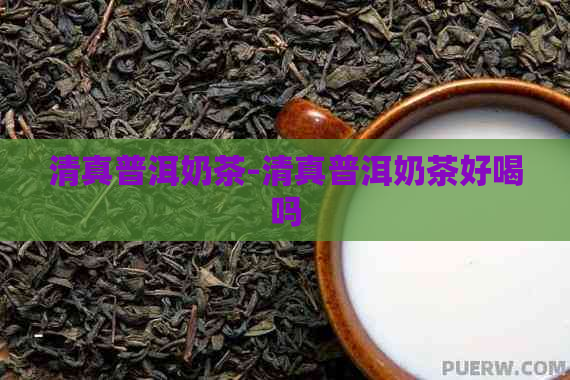      普洱奶茶-     普洱奶茶好喝吗