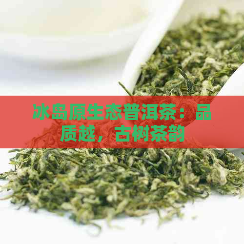 冰岛原生态普洱茶：品质越，古树茶韵