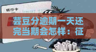 芸豆分逾期一天还完当期会怎样：影响与一次结清要求