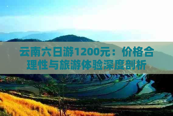 云南六日游1200元：价格合理性与旅游体验深度剖析