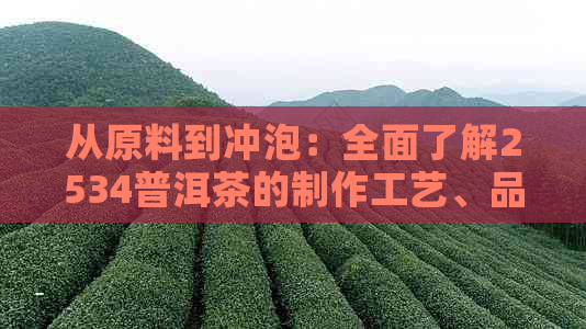 从原料到冲泡：全面了解2534普洱茶的制作工艺、品饮技巧与适饮人群