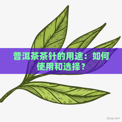 普洱茶茶针的用途：如何使用和选择？