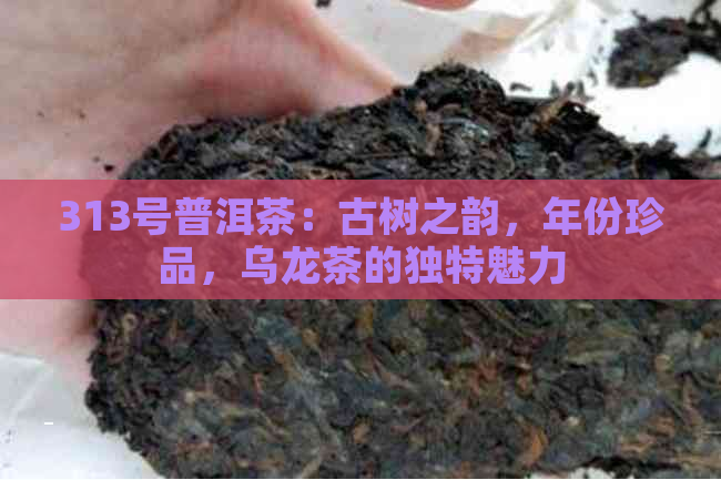 313号普洱茶：古树之韵，年份珍品，乌龙茶的独特魅力