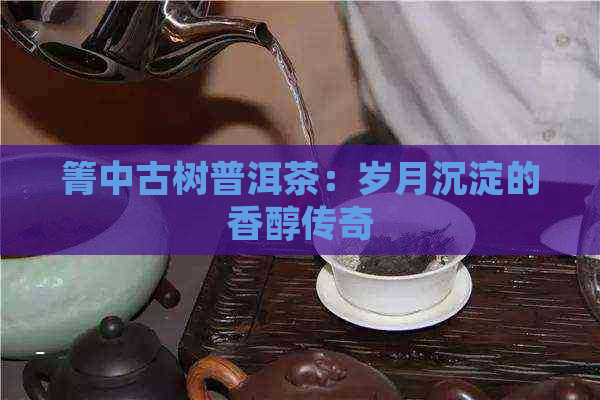 箐中古树普洱茶：岁月沉淀的香醇传奇