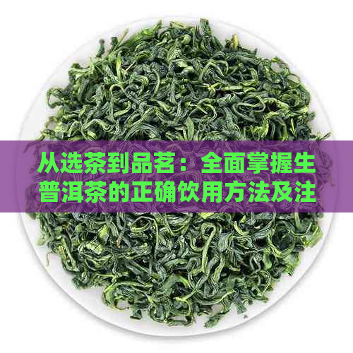 从选茶到品茗：全面掌握生普洱茶的正确饮用方法及注意事项