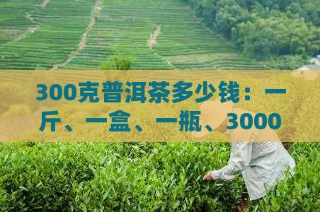 300克普洱茶多少钱：一斤、一盒、一瓶、3000克和350克的价格