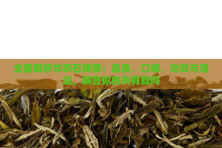 全面解析华农石牌茶：品质、口感、功效与泡法，解答你的所有疑问