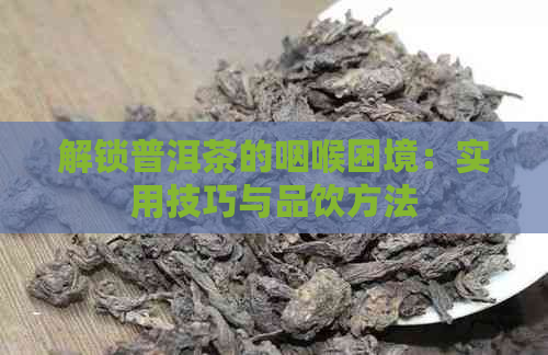 解锁普洱茶的咽喉困境：实用技巧与品饮方法