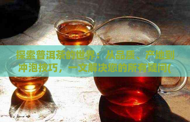 探索普洱茶的世界：从品质、产地到冲泡技巧，一文解决您的所有疑问(299元)