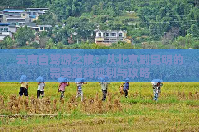 云南自驾游之旅：从北京到昆明的完美路线规划与攻略