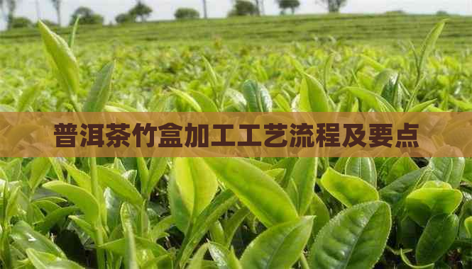 普洱茶竹盒加工工艺流程及要点