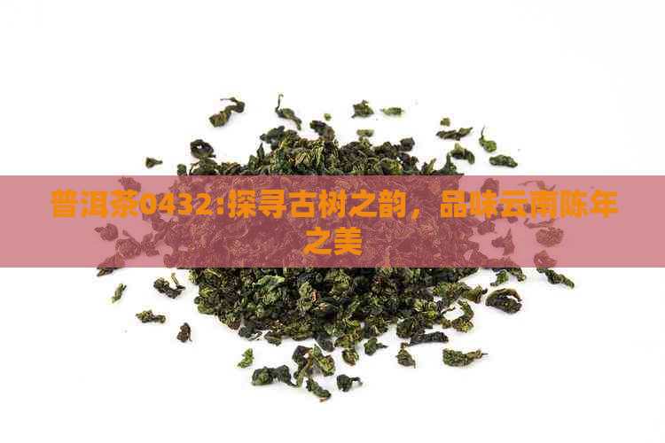 普洱茶0432:探寻古树之韵，品味云南陈年之美