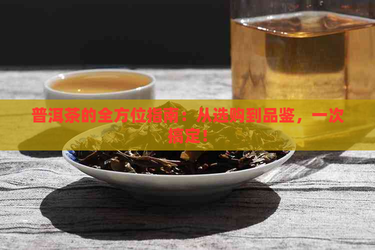 普洱茶的全方位指南：从选购到品鉴，一次搞定！