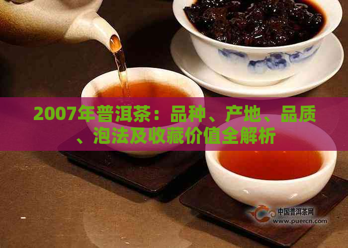 2007年普洱茶：品种、产地、品质、泡法及收藏价值全解析