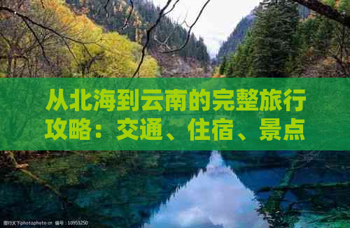 从北海到云南的完整旅行攻略：交通、住宿、景点和美食一网打尽