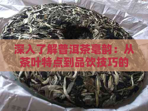 深入了解普洱茶毫韵：从茶叶特点到品饮技巧的全面指南