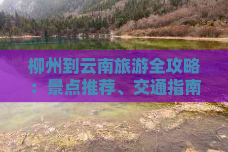 柳州到云南旅游全攻略：景点推荐、交通指南、美食体验一应俱全！