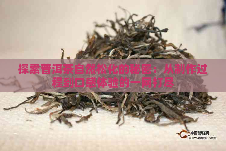 探索普洱茶自然松化的秘密：从制作过程到口感体验的一网打尽